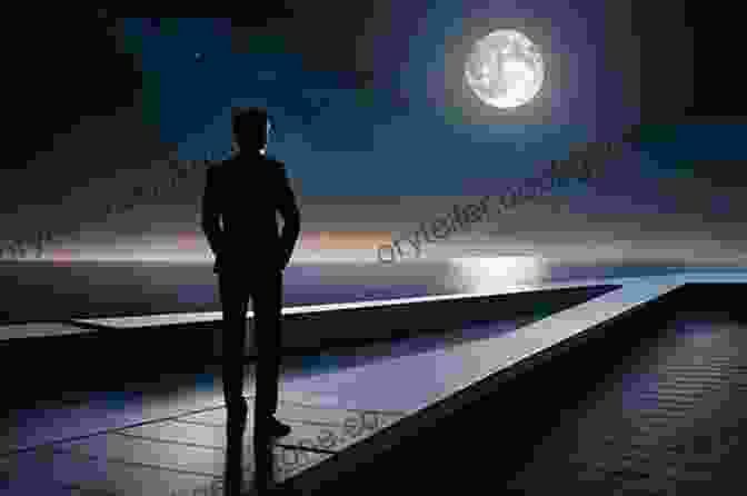 A Lone Figure Standing On A Rooftop, Overlooking A City At Night, Representing The Enigmatic And Elusive Nature Of The Chameleon Assassin's Legacy. Chameleon S World: Chameleon Assassin Box Set 1
