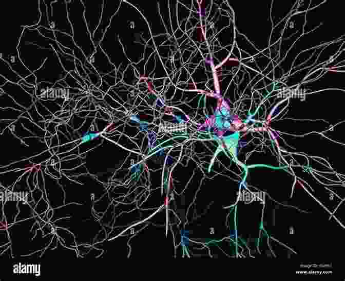 A Microscopic Image Of A Human Brain, Highlighting The Intricate Network Of Neurons And Synapses That Contribute To Its Chaotic Behavior Chaos Packed To The Ends Of The Earth: Adventures In Australia And New Zealand