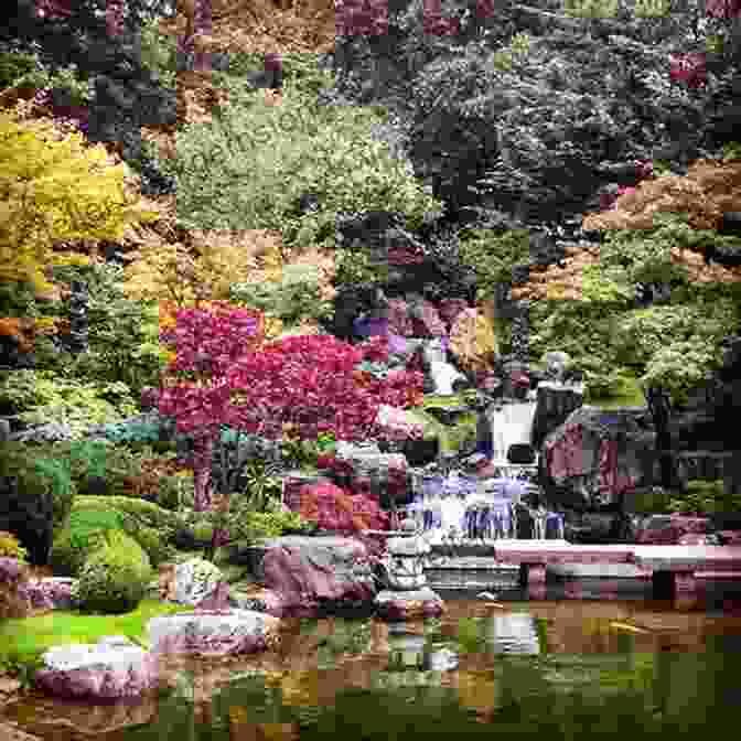 A Misty Morning In Holland Park, With A View Of The Kyoto Garden A Drizzly Day In Holland Park: : My Journey With Mental Illness