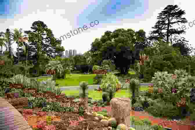 A Panoramic View Of The Australian National Botanic Gardens, Showcasing Its Lush Landscapes And Diverse Plant Life. Discovering Australian Flora: An Australian National Botanic Gardens Experience