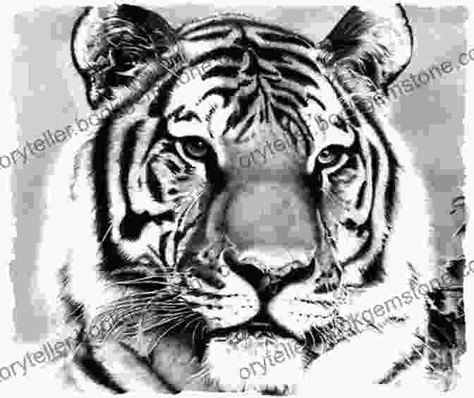 A Pencil Drawing Of A Realistic Tiger PENCIL DRAWING MADE EASY: All You Need To Know To Get Started With Pencil Drawing For Absolute Beginners
