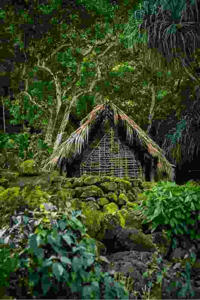 A Photograph Of A Traditional Hawaiian Village With Thatched Huts And Lush Greenery Born In Paradise: Memoirs Of Old Hawaii