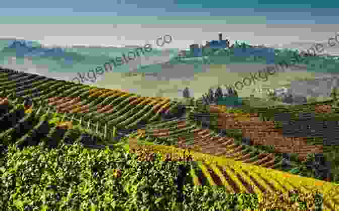 Barolo And Barbaresco Vineyards In Piedmont, Italy Barolo And Barbaresco (Guides To Wines And Top Vineyards 15)