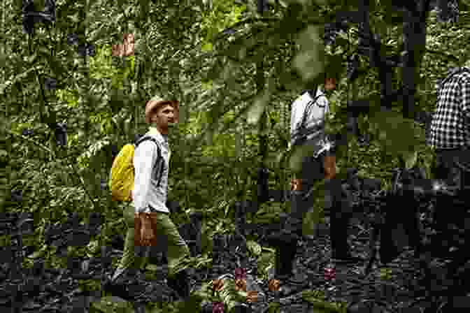 Jasper Scott Hiking In The Amazon Rainforest Excitement In Ecuador Jasper T Scott