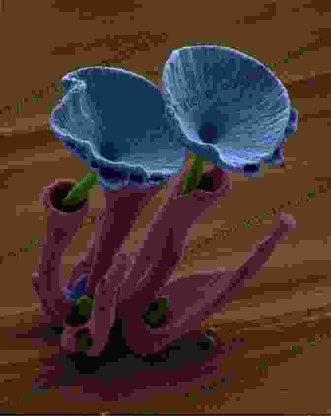 The Nano Flower Adorning The Artist's Finger, Emphasizing Its Delicate Form The Mandel Files Volume 2: The Nano Flower (Greg Mandel)